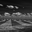 Newly Mown Field